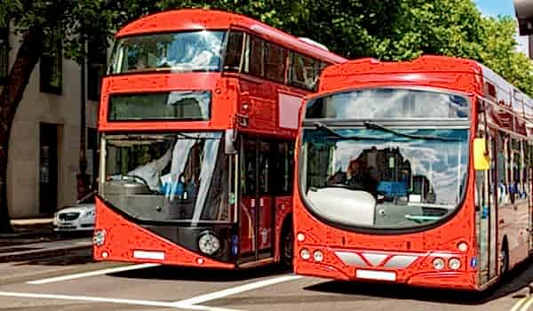Red buses